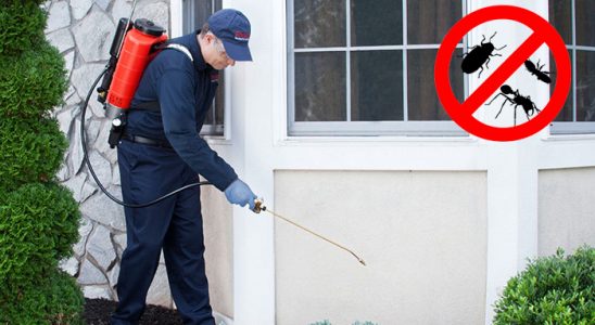 Beykoz Böcek ve Haşere İlaçlama böcek ilaçlama ve haşere kontrolü — ilaclama-tr.com